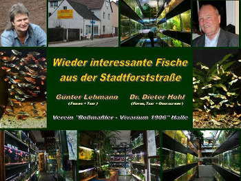 „Wieder Interessante Fische im Zoofachgeschäft in der Stadtforststraße“ (Gemeinschaftsvortrag mit Günter Lehmann – Halle)