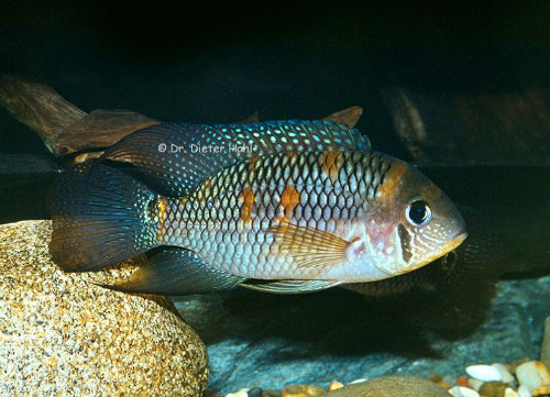 Galeriebild Galeriebild